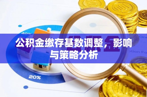 泽库公积金缴存基数调整，影响与策略分析