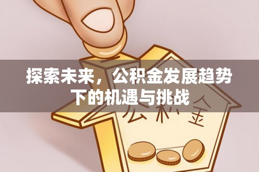 泽库探索未来，公积金发展趋势下的机遇与挑战