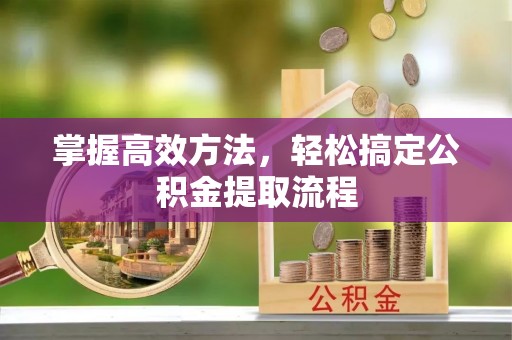 泽库掌握高效方法，轻松搞定公积金提取流程
