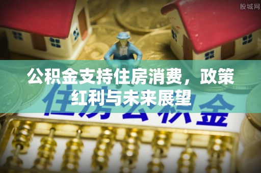 泽库公积金支持住房消费，政策红利与未来展望