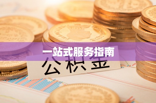 泽库一站式服务指南